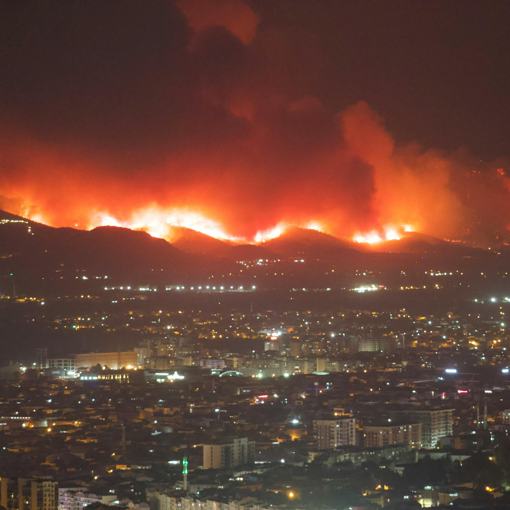 Wildland Urban Interface shows the complexity of wildfire as wicked socio-ecological phenomena.