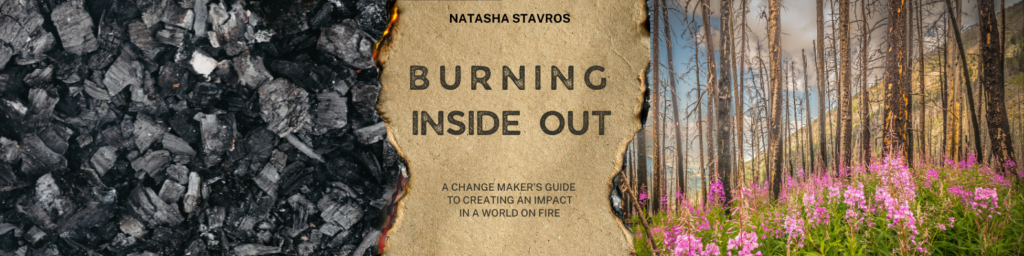 Burning Inside Out nonfiction narrative book for change makers on how to create an impact in a world on fire, featuring 30 lessons on resilience through change.