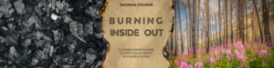 Burning Inside Out nonfiction narrative book for change makers on how to create an impact in a world on fire, featuring 30 lessons on resilience through change.